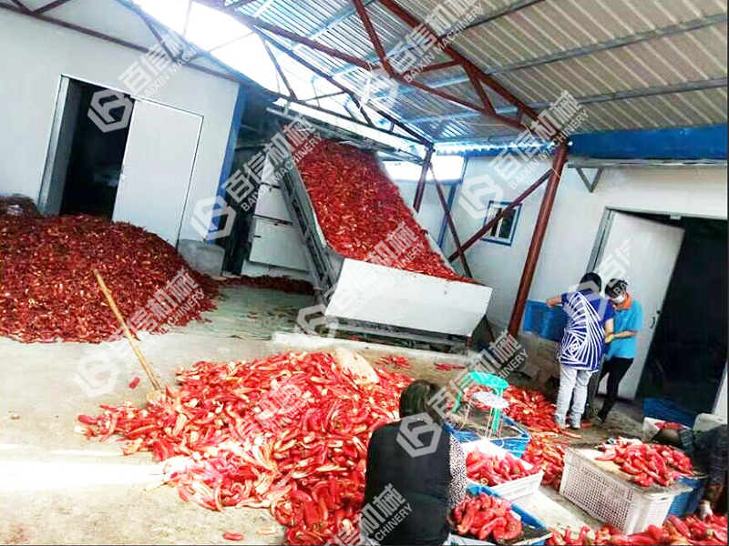 建陽辣椒烘干機